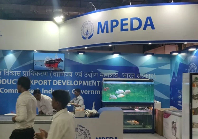 MPEDA - 42 Sq. Meter - Global Kokan Festival 2019 - Mumbai